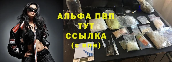 винт Алексин