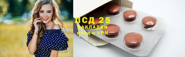 твердый Абаза
