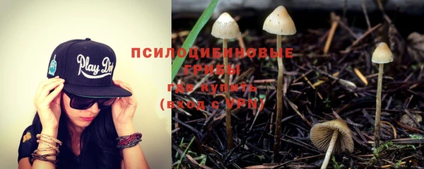 твердый Абаза