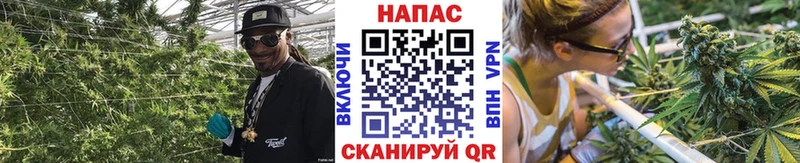 Бошки марихуана Bruce Banner  Зея 